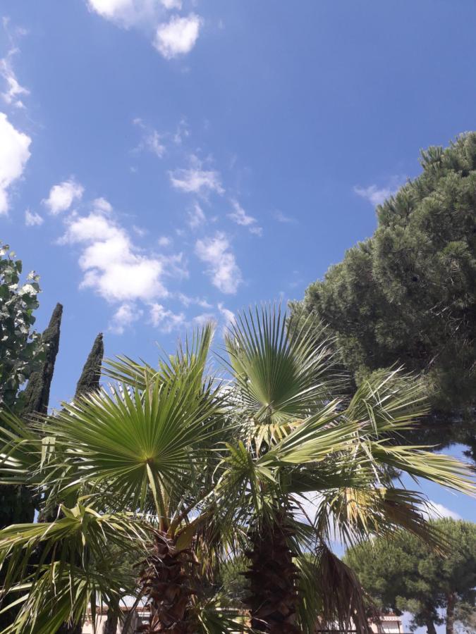 Studio A La Mer Apartment Le Grau-d'Agde Bagian luar foto